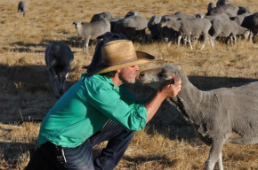 DONN4254S - Wilga Farm Stay - Shearer's Shack Single